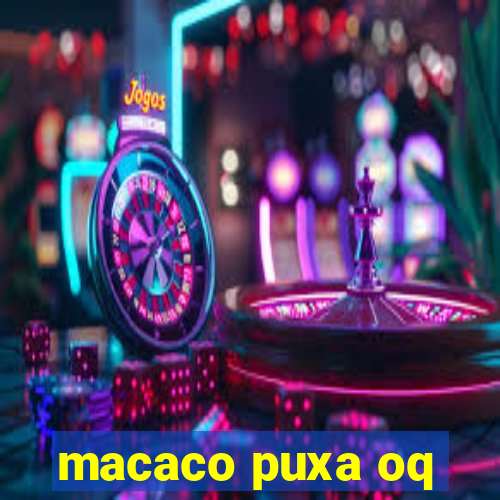 macaco puxa oq